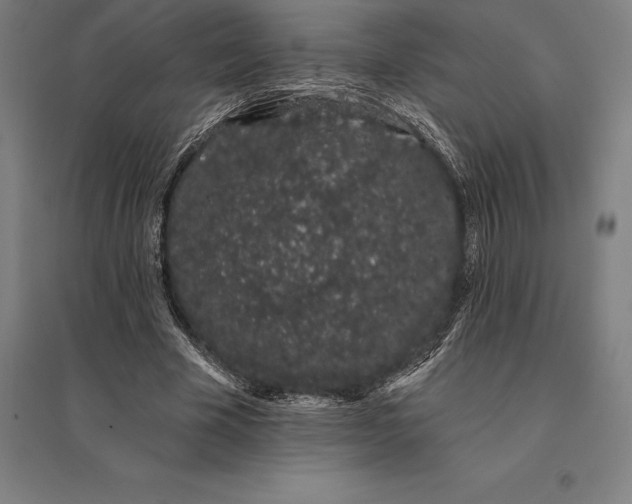 X0000095130585200712301826