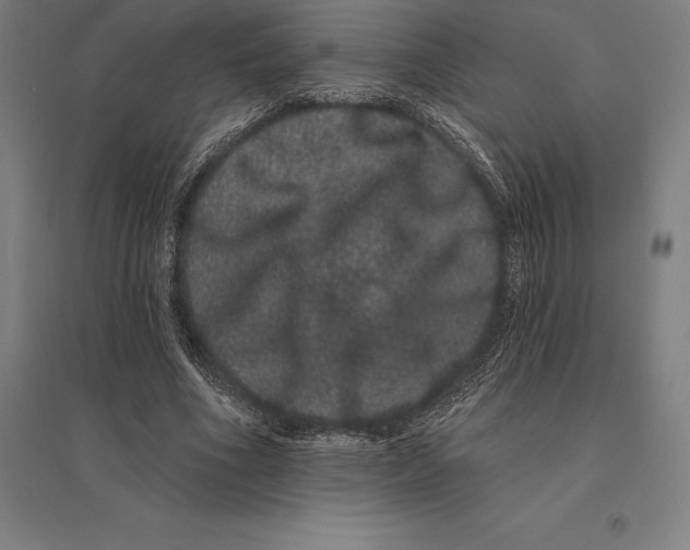 X0000095130586200712301826