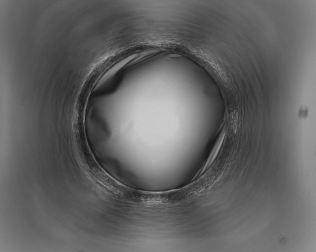 X0000095130587200712301826