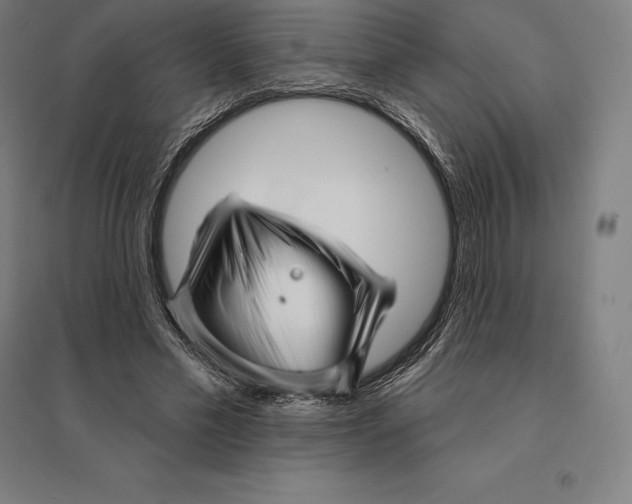 X0000095130589200712301826