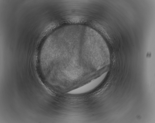 X0000095130590200712301826