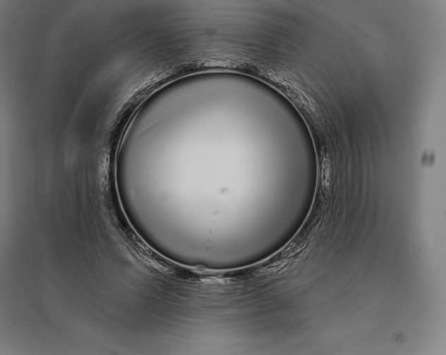 X0000095130591200712301826