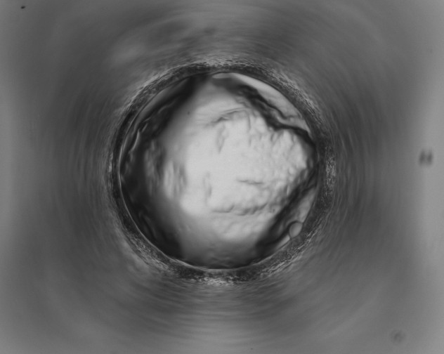 X0000095130592200712301826