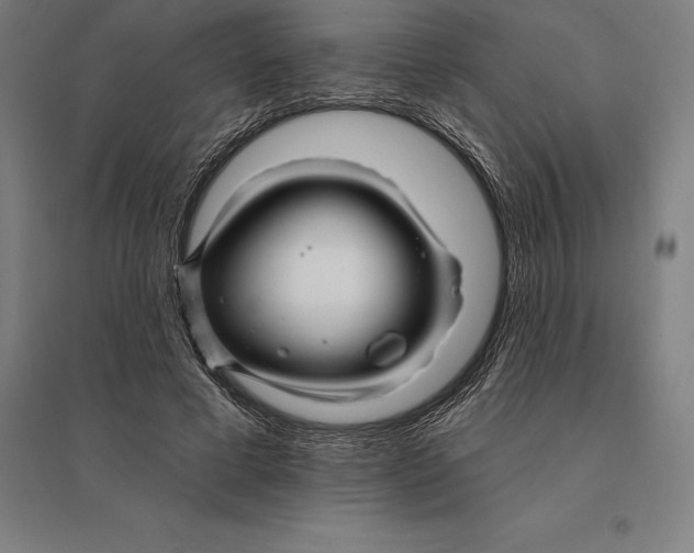 X0000095130593200712301826