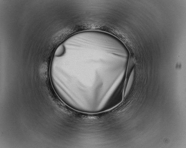 X0000095130594200712301826