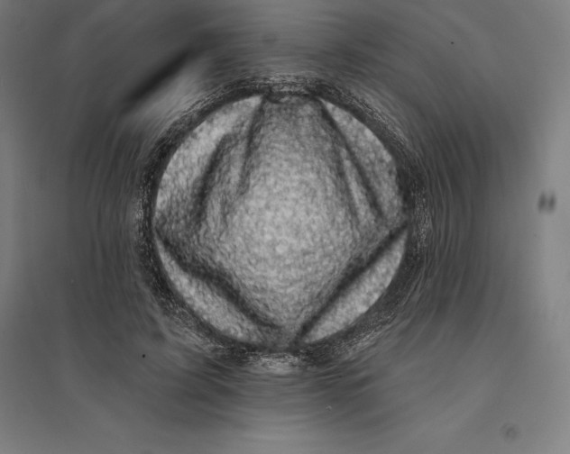 X0000095130595200712301826