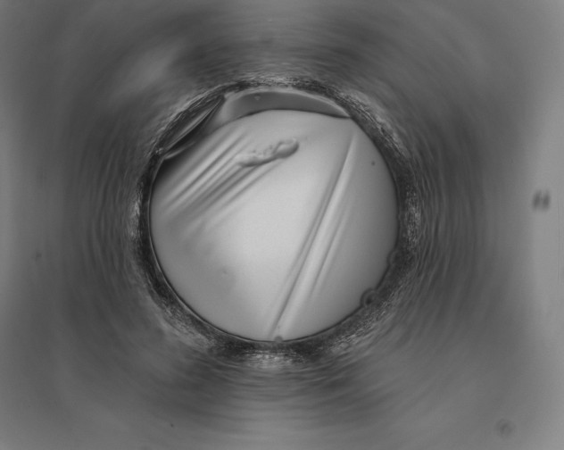 X0000095130596200712301826