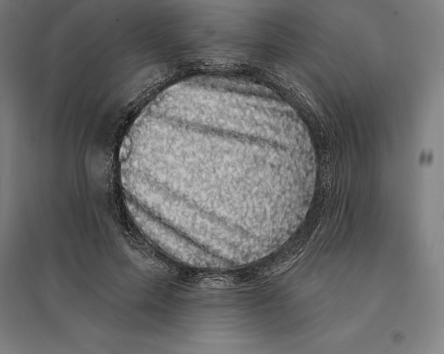 X0000095130599200712301826