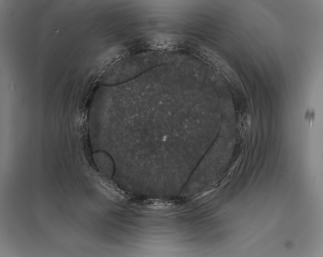 X0000095130601200712301826