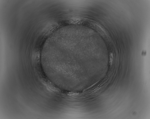 X0000095130602200712301826