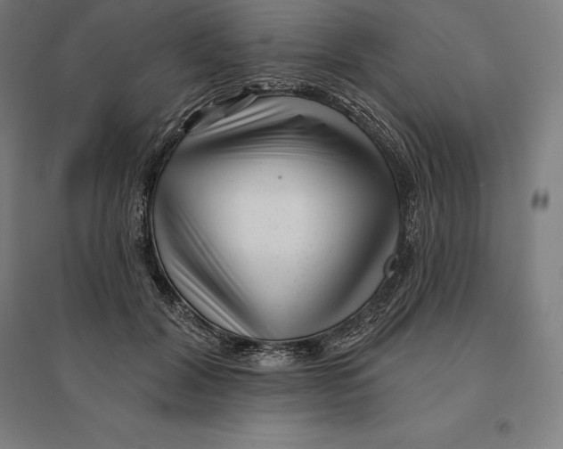 X0000095130604200712301826