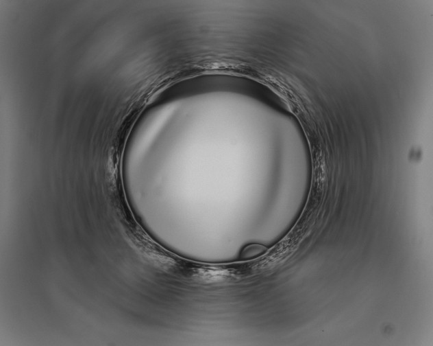 X0000095130607200712301826