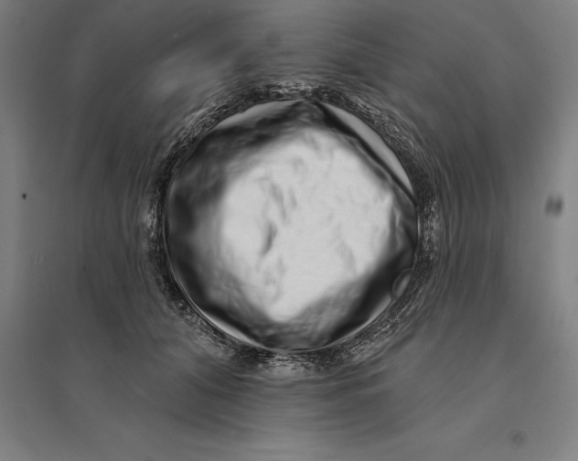 X0000095130608200712301826