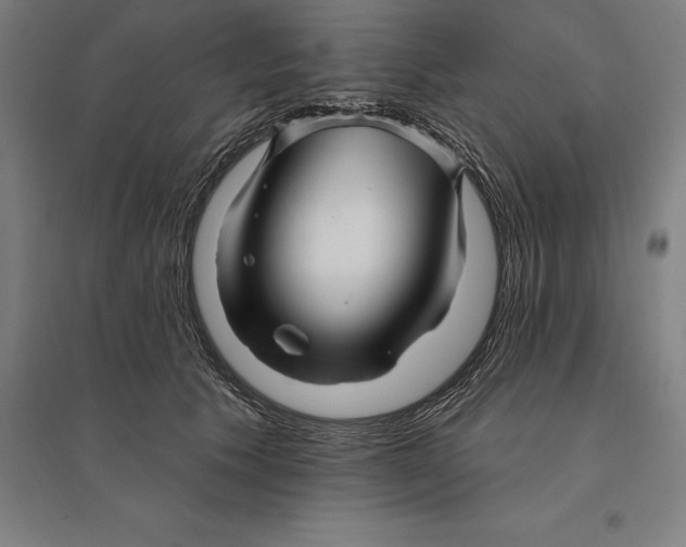 X0000095130609200712301826