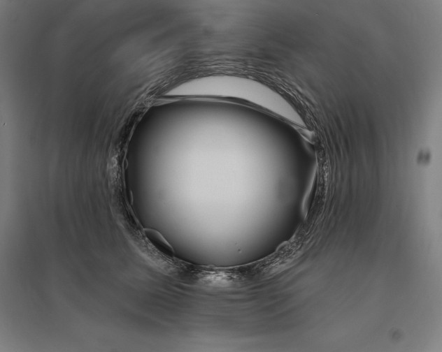 X0000095130611200712301826