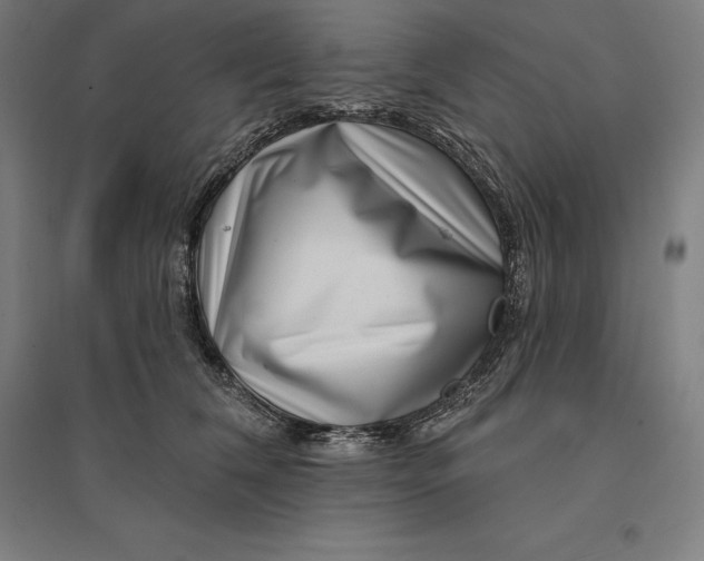 X0000095130612200712301826