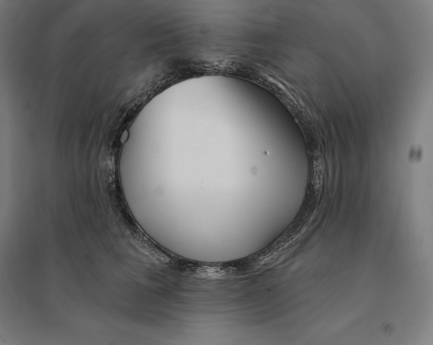 X0000095130613200712301826