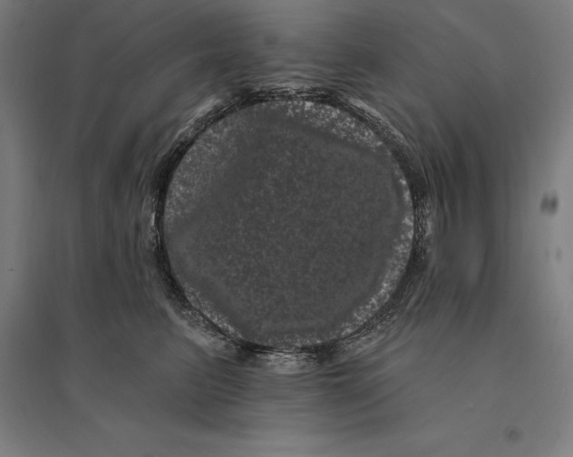 X0000095130615200712301826