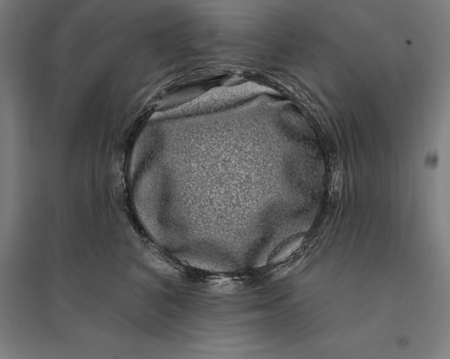 X0000095130616200712301826