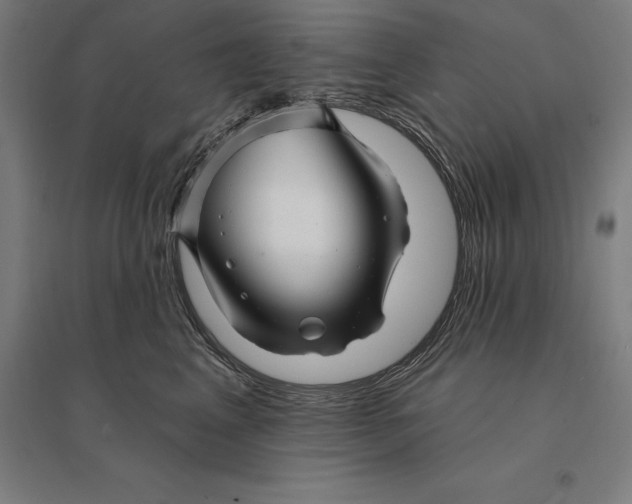 X0000095130617200712301826