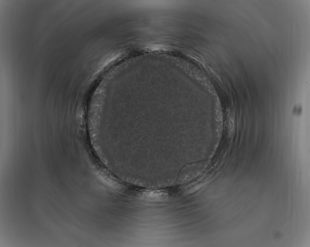 X0000095130619200712301826