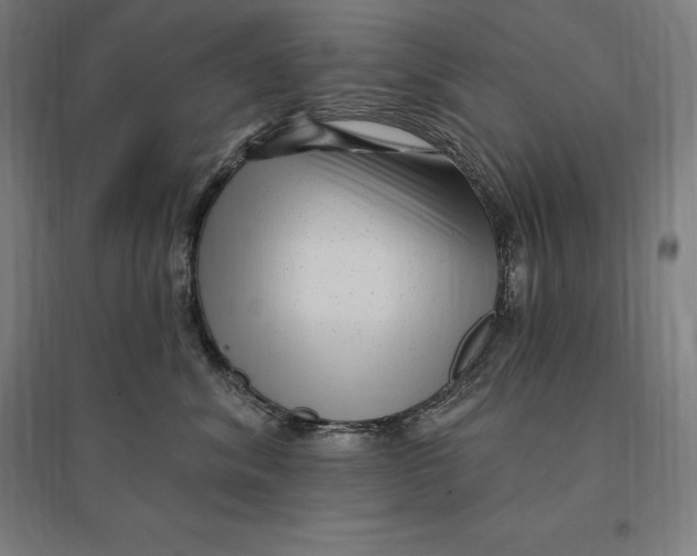 X0000095130620200712301826