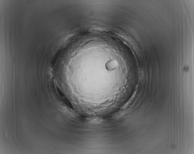 X0000095130621200712301826