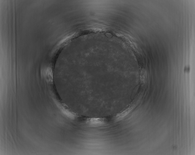 X0000095130622200712301826