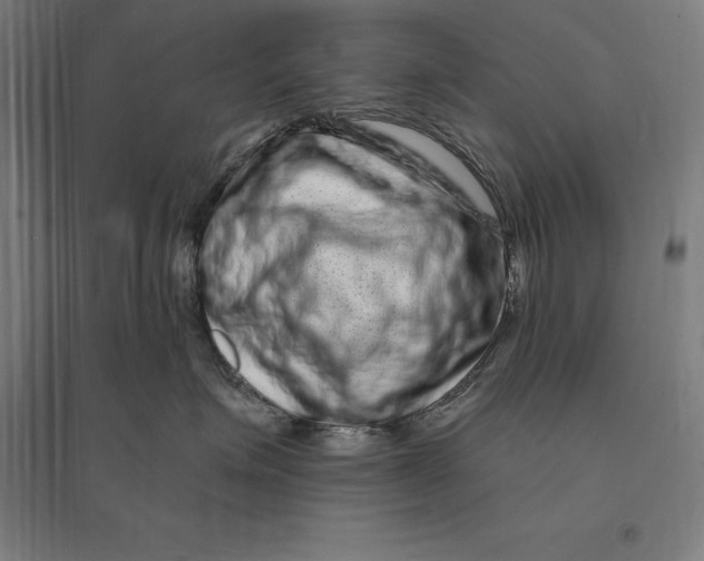 X0000095130623200712301826