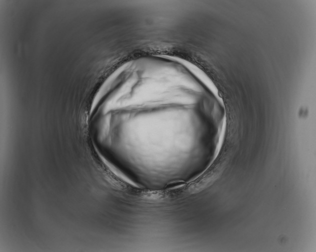 X0000095130624200712301826