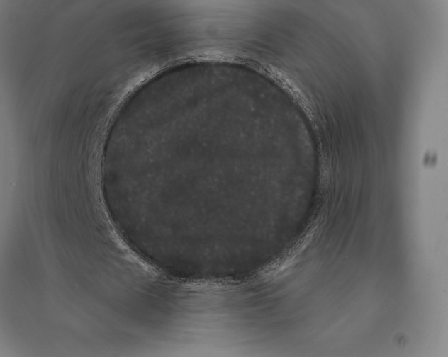 X0000095130625200712301825