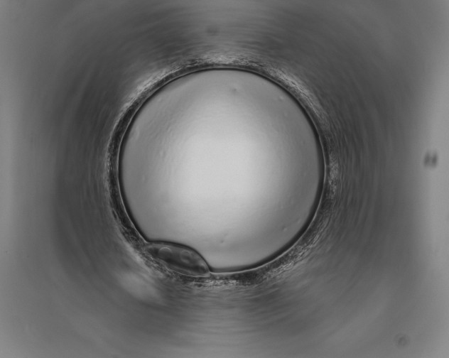 X0000095130626200712301825