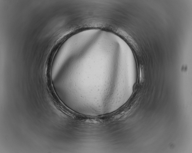 X0000095130627200712301825