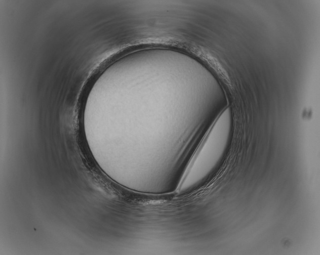 X0000095130628200712301825