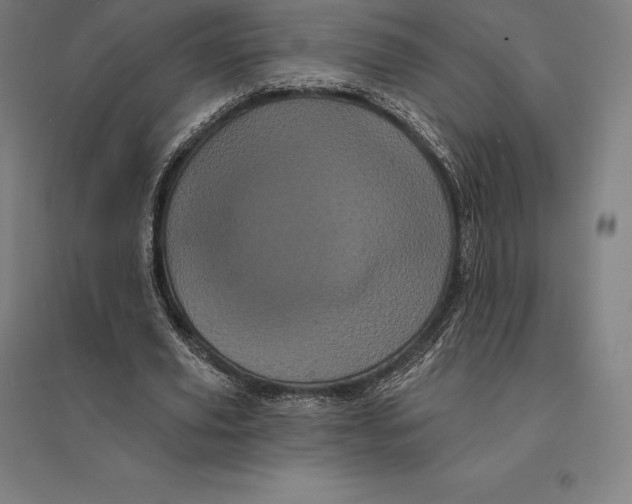 X0000095130629200712301825