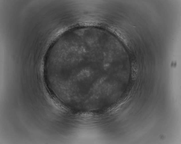 X0000095130631200712301825