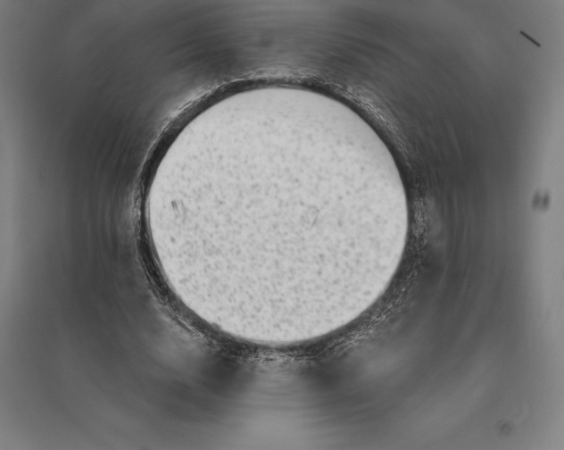 X0000095130632200712301825