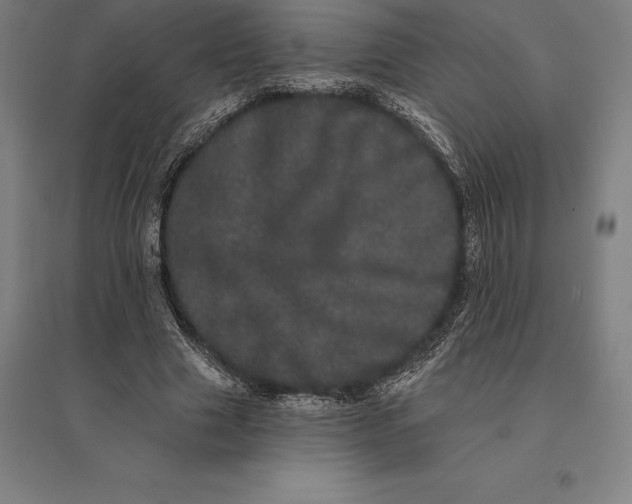 X0000095130633200712301825