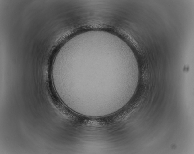 X0000095130635200712301825