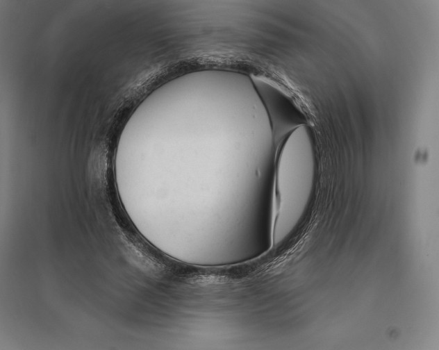 X0000095130637200712301825