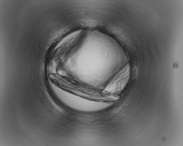 X0000095130638200712301825