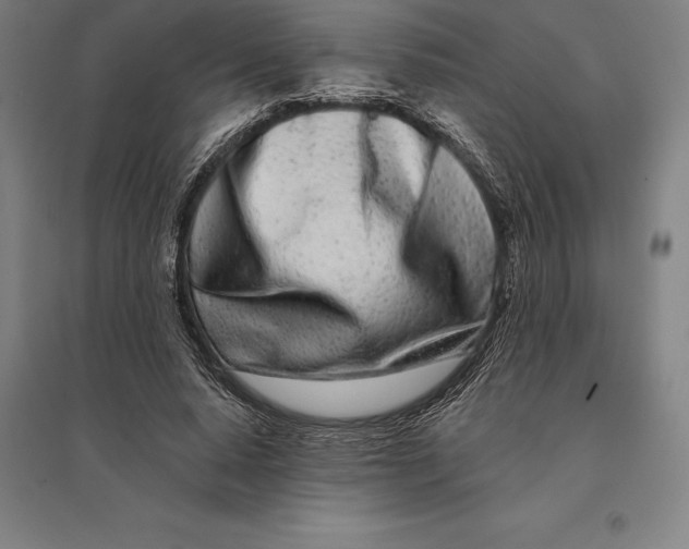 X0000095130640200712301825