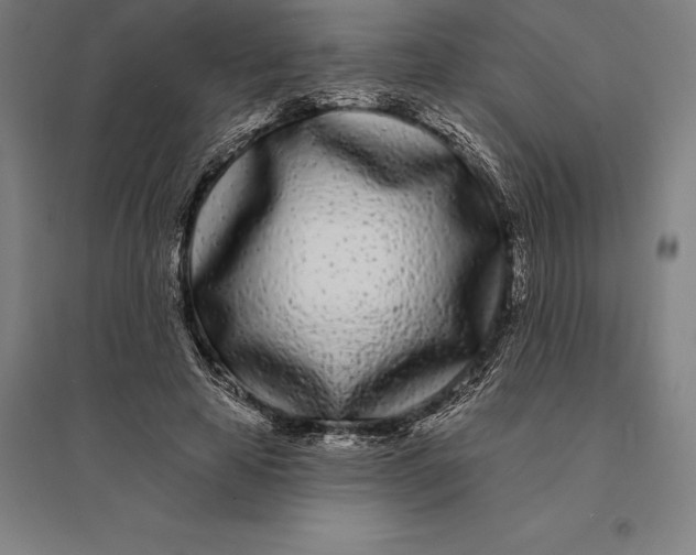 X0000095130641200712301825