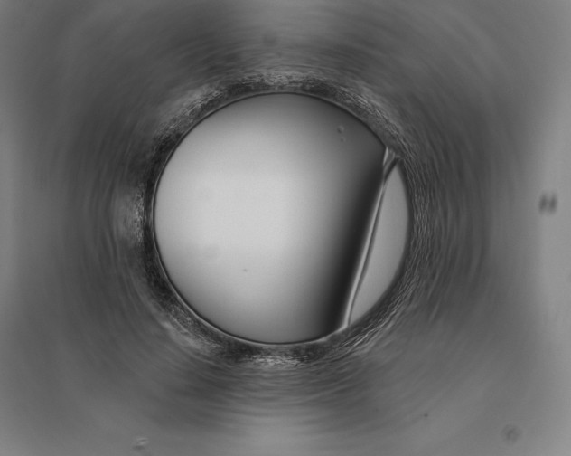 X0000095130644200712301825