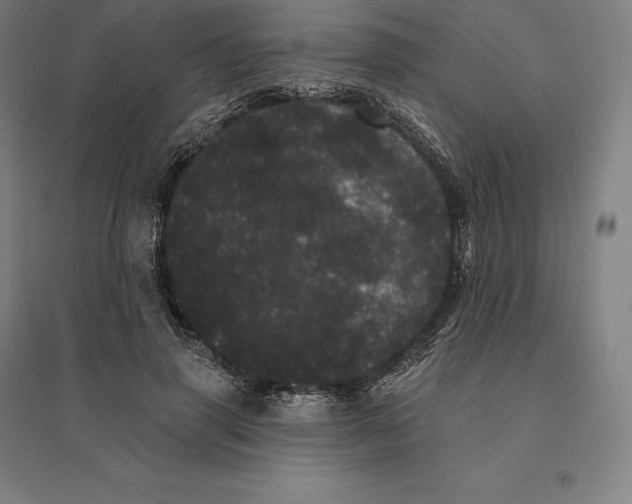 X0000095130645200712301825