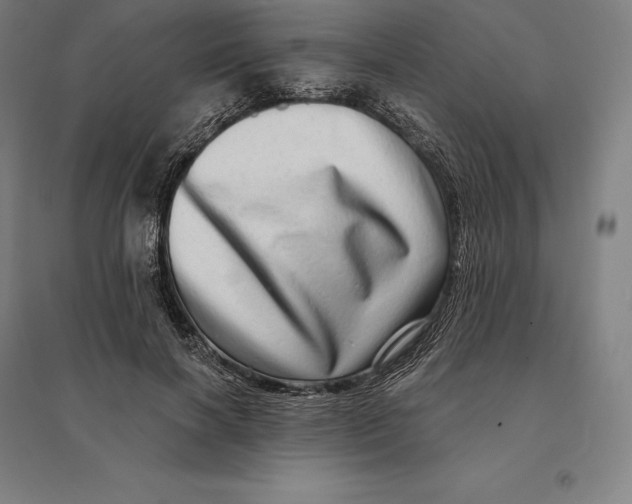 X0000095130646200712301825