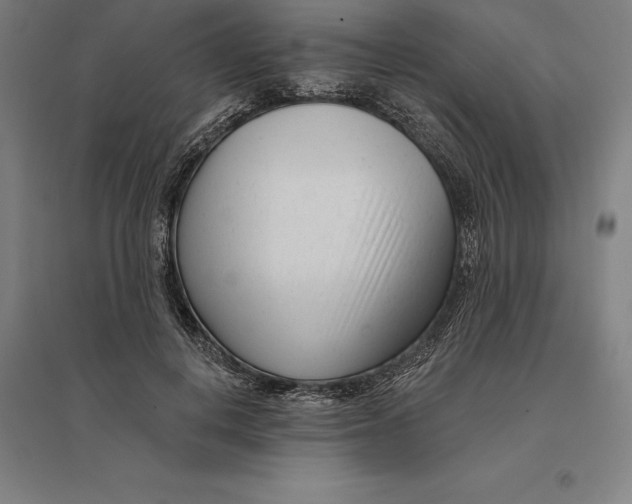 X0000095130648200712301825