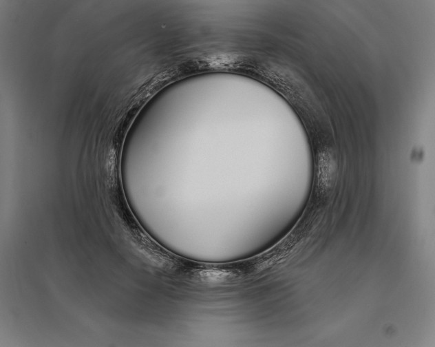 X0000095130650200712301825