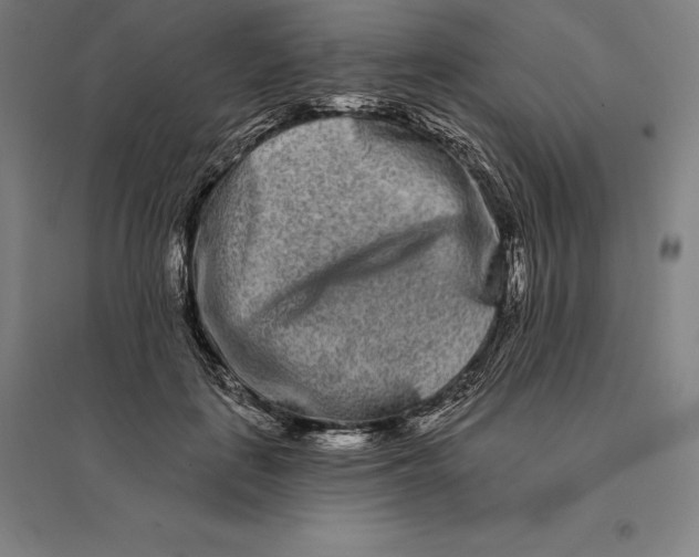 X0000095130651200712301825