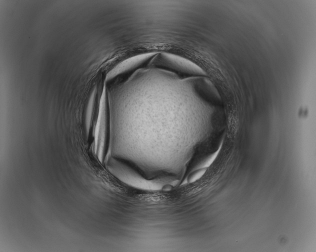 X0000095130652200712301825